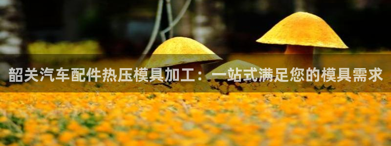 易倍纤谷物粉效果好吗
