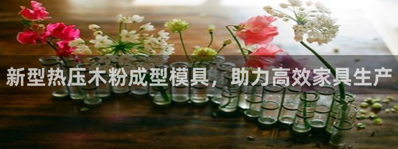易倍EMC网址：新型热压木粉成型模具，助力高效家具生产