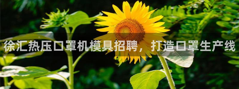 易倍申竞品