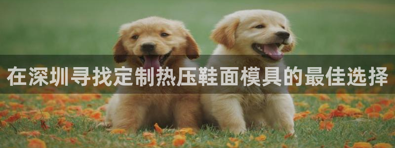 emc下载