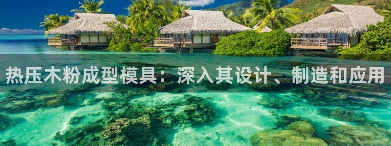 易倍达科技有限公司