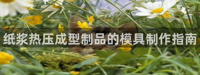 易倍全站下载