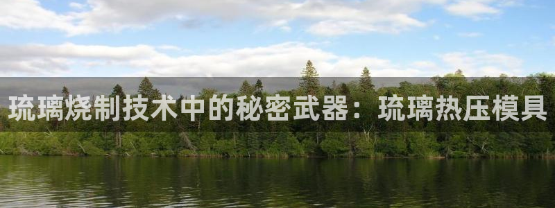 易倍申竞品