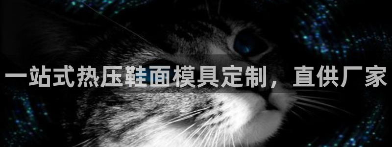 易倍申片说明书