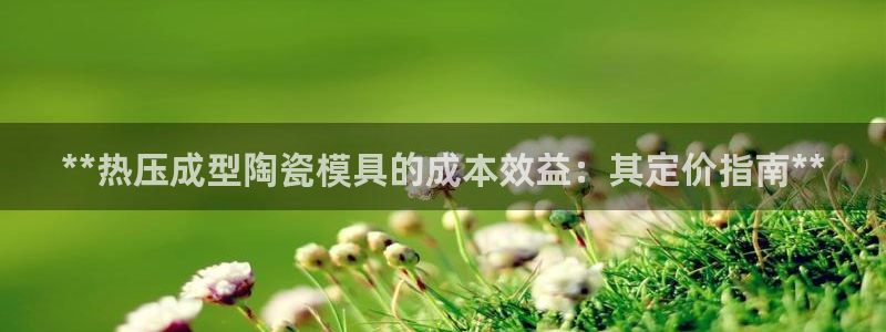 emc32软件：**热压成型陶瓷模具的成本效益：其定价指