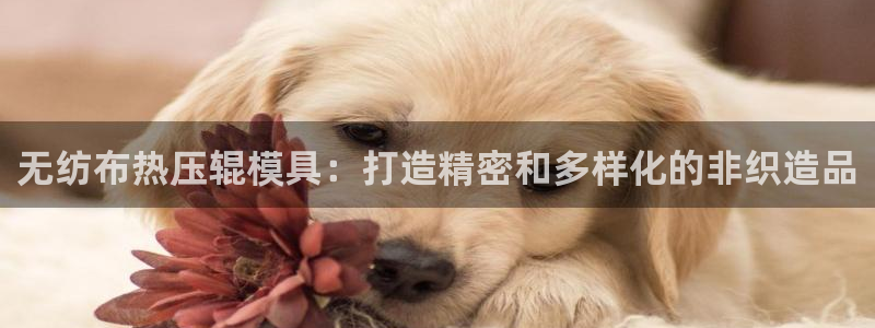 易倍单词官方网站登录