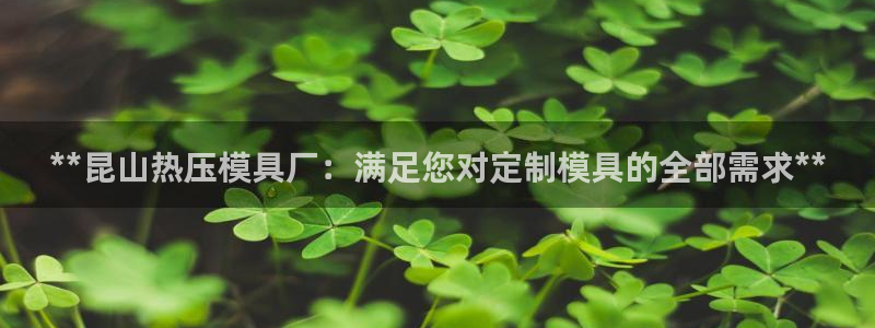 易倍单词app：**昆山热压模具厂：满足您对定制模具的全