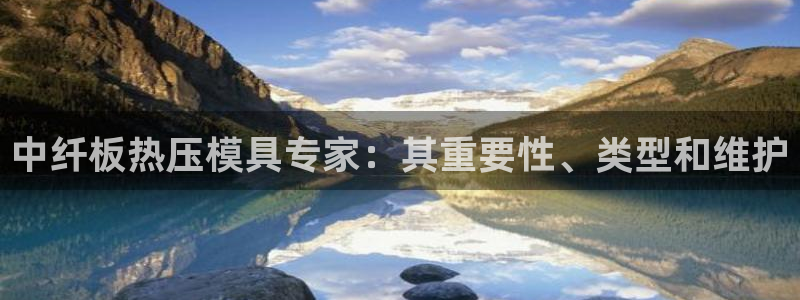 易倍申能长期吃吗：中纤板热压模具专家：其重要性、类型和维