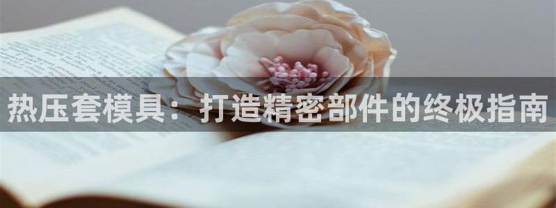 易倍单词app下载