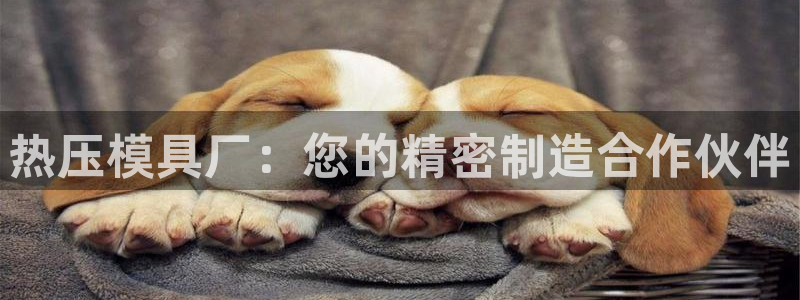 emc易倍平台