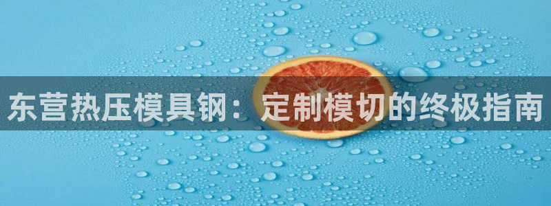 易倍易倍单词官方网站：东营热压模具钢：定制模切的终极指南