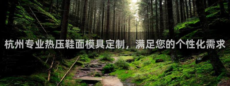 易倍申的价格：杭州专业热压鞋面模具定制，满足您的个性化需