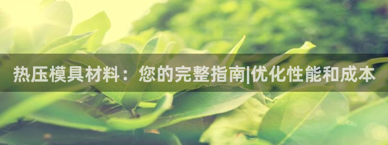 emc易倍网站是多少：热压模具材料：您的完整指南|优化性