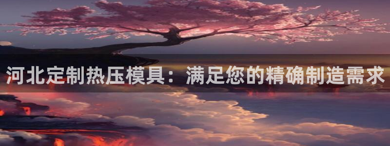 emc易倍登录：河北定制热压模具：满足您的精确制造需求