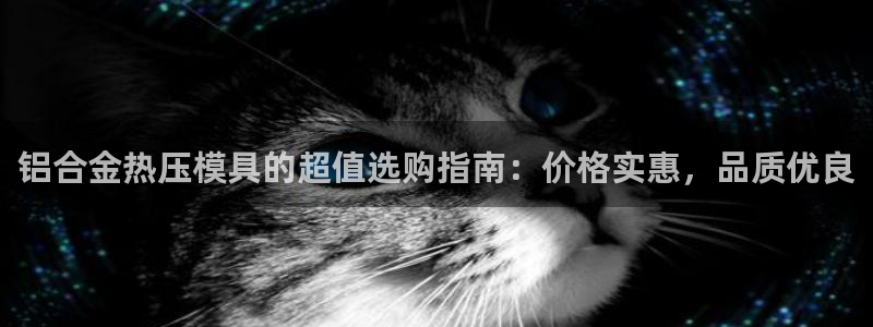易倍电竞：铝合金热压模具的超值选购指南：价格实惠，品质优
