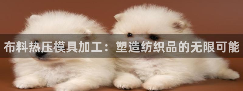 易倍申多少钱：布料热压模具加工：塑造纺织品的无限可能