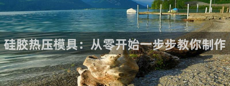 易倍申医保报销