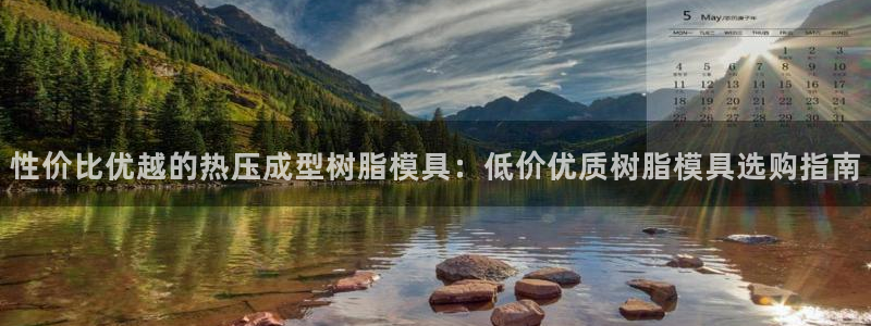 易倍纤代餐奶昔怎么样：性价比优越的热压成型树脂模具：低价