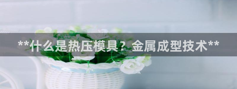 emc倍频：**什么是热压模具？金属成型技术**