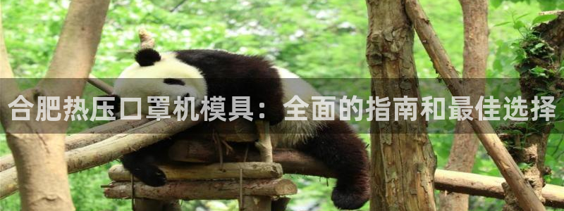 易倍下载地址：合肥热压口罩机模具：全面的指南和最佳选择