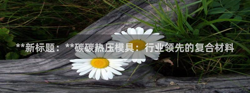 易倍单词官方网站下载安卓：**新标题：**碳碳热压模具：