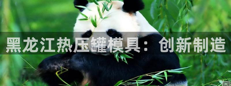 emc备份软件
