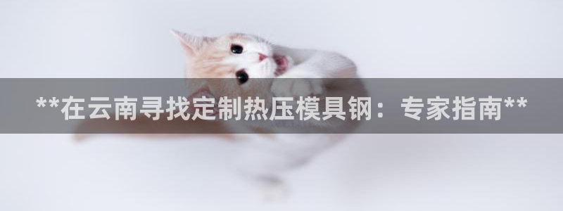 易倍网络技术有限公司怎么样：**在云南寻找定制热压模具钢