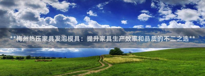 emc32软件使用说明：**梅州热压家具发泡模具：提升家