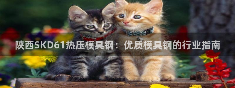 emc易倍电竞