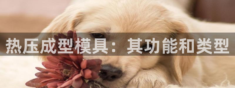 杭州易倍达上班怎么样