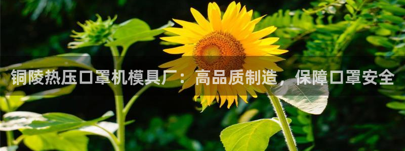 易倍app官网下载