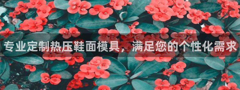 emc易倍平台