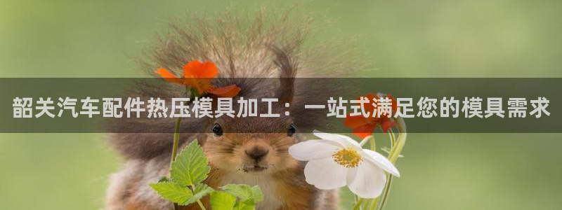 易倍单词官方网站下载