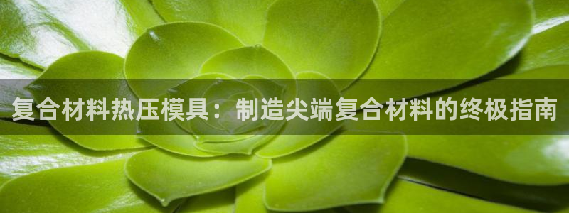 emc备份软件：复合材料热压模具：制造尖端复合材料的终极