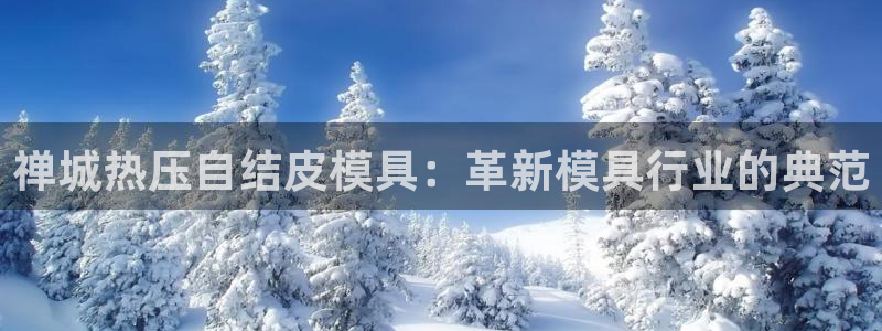 EMC易倍让身份验证