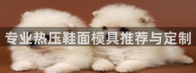 emc易贝体育怎么样
