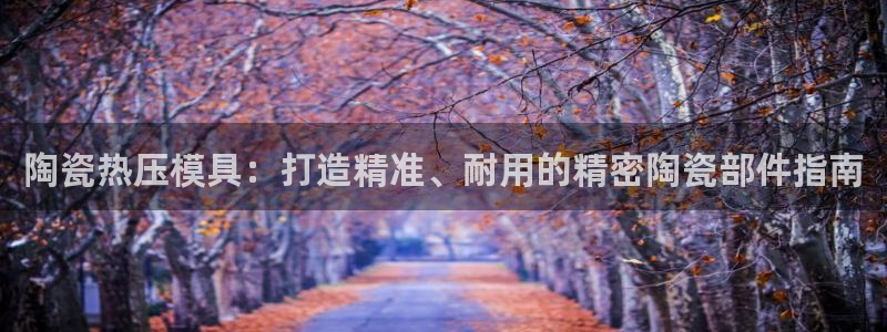 易倍纤代餐粉能减肥吗：陶瓷热压模具：打造精准、耐用的精密