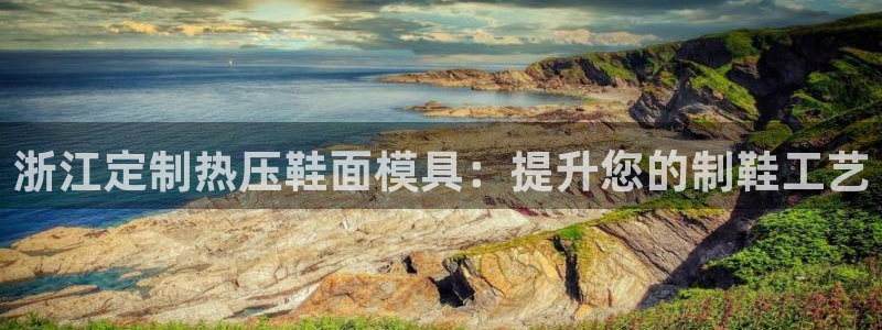 emc易倍怎么样：浙江定制热压鞋面模具：提升您的制鞋工艺