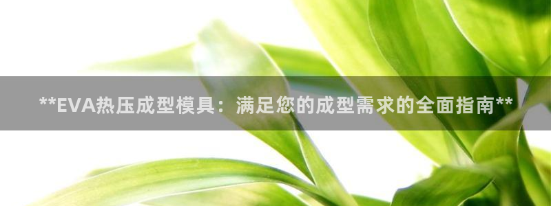 易倍单词官方网站：**EVA热压成型模具：满足您的成型需