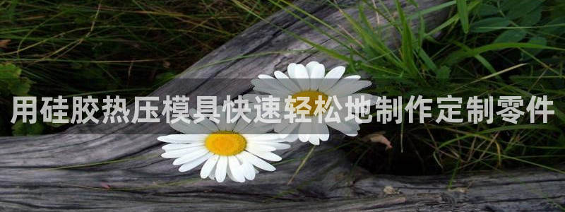 emc易倍怎么样：用硅胶热压模具快速轻松地制作定制零件