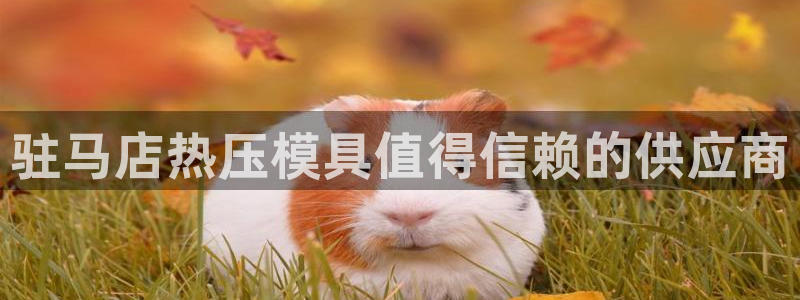 易倍申每盒价格是多少?