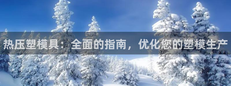 易倍单词官方网站：热压塑模具：全面的指南，优化您的塑模生