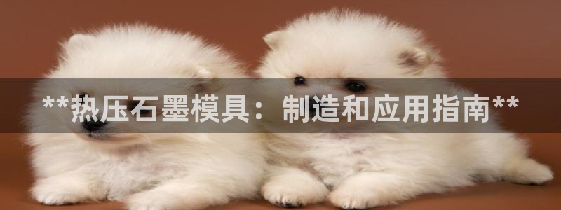 易倍英语官方网站登录：**热压石墨模具：制造和应用指南*