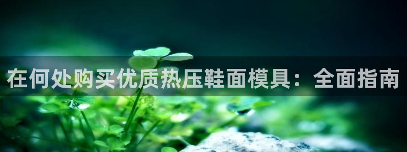 emc频率范围：在何处购买优质热压鞋面模具：全面指南