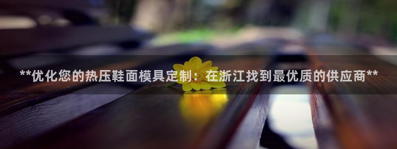 EMC易倍官方网址：**优化您的热压鞋面模具定制：在浙江