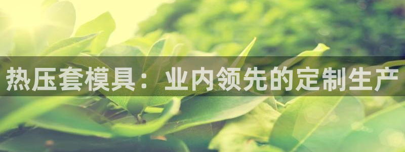 易倍纤谷物粉效果好吗：热压套模具：业内领先的定制生产