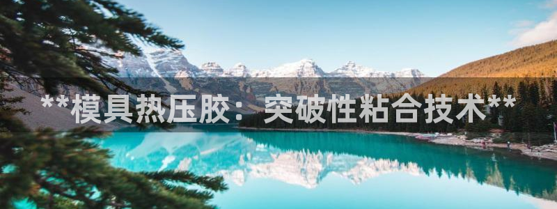 emc易倍全站官网：**模具热压胶：突破性粘合技术**