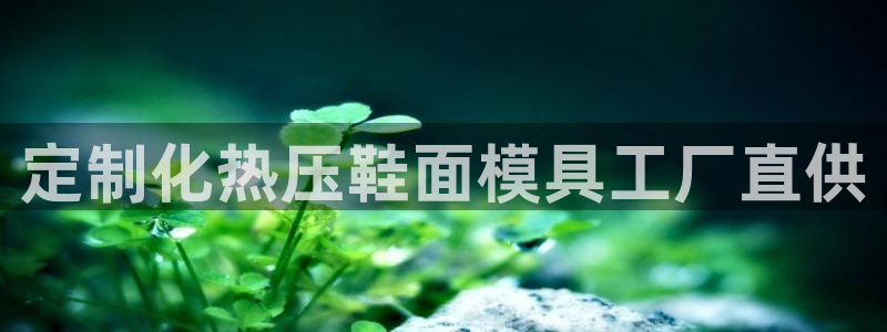 易倍申片说明书