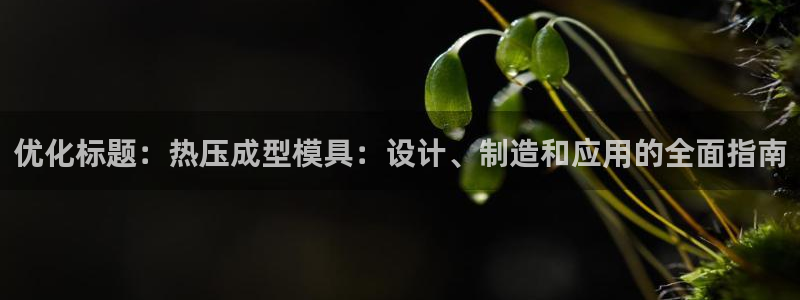 易倍单词官方网站下载安卓：优化标题：热压成型模具：设计、