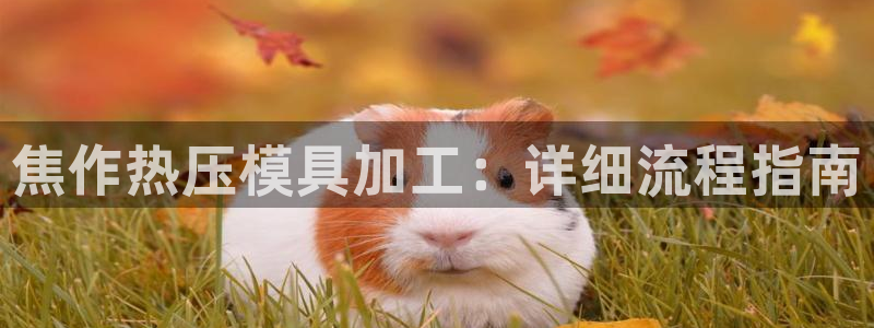 emc网页版